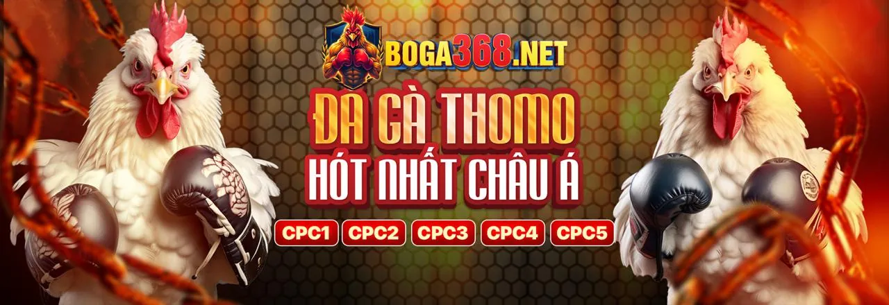 Đá Gà Trực Tuyến mig8 code